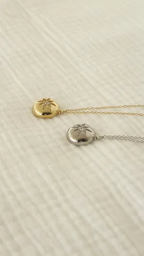 Collier Rose des Vents